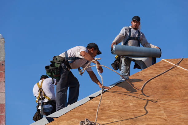 Quick and Trustworthy Emergency Roof Repair Services in Paris, AR